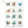 motyl, akwarela, złota rybka, skalar, ryby*butterfly, watercolor, goldfish, angelfish, fish*butterfly, watercolor, goldfish, angelfish, fis